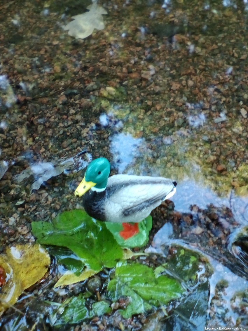 Петербург. Фонтаны в Парадном. Таврический сад. Домашние питомцы на прогулке | Бэйбики Петербург. Фонтаны в Парадном. Таврический сад. Домашние питомцы на прогулке