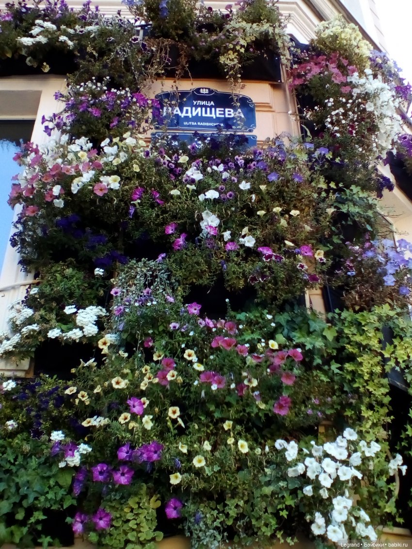 Петербург. Таврический сад. Ул.Радищева. Джан и Джесур (продолжение прогулки) | Бэйбики Петербург. Таврический сад. Ул.Радищева. Джан и Джесур (продолжение прогулки)