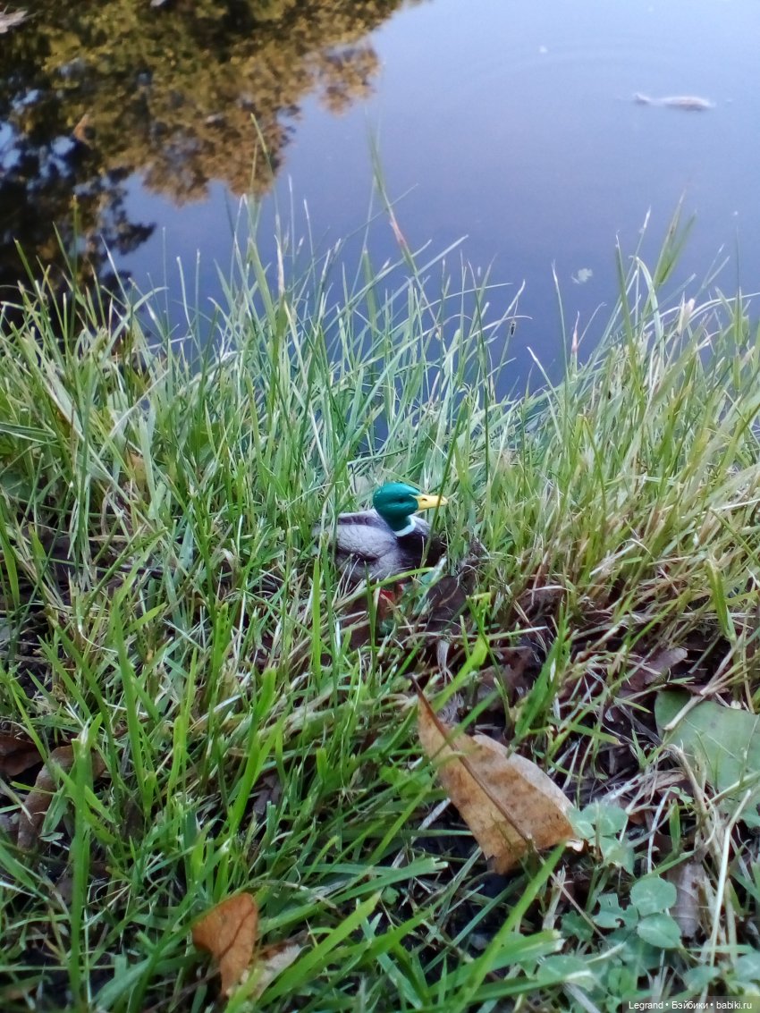 Петербург. Фонтаны в Парадном. Таврический сад. Домашние питомцы на прогулке | Бэйбики Петербург. Фонтаны в Парадном. Таврический сад. Домашние питомцы на прогулке