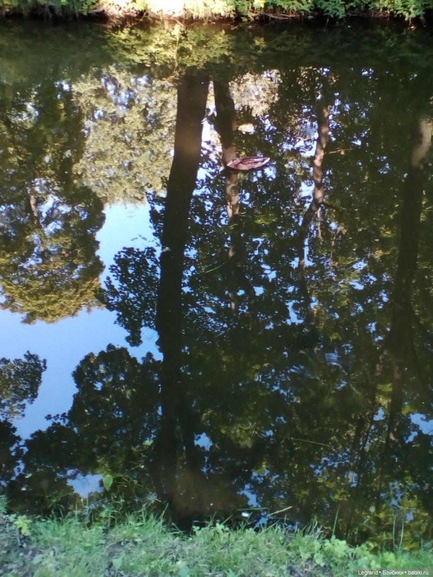 Петербург. Фонтаны в Парадном. Таврический сад. Домашние питомцы на прогулке | Бэйбики Петербург. Фонтаны в Парадном. Таврический сад. Домашние питомцы на прогулке