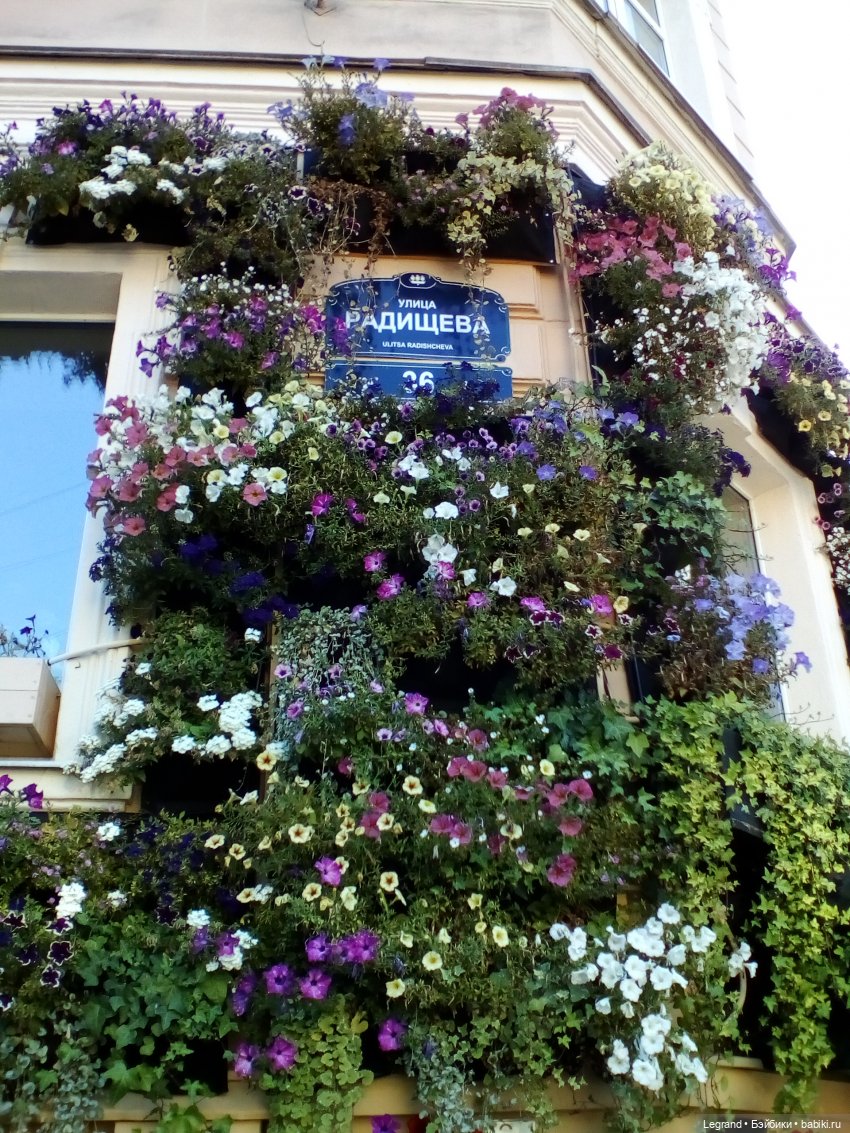 Петербург. Таврический сад. Ул.Радищева. Джан и Джесур (продолжение прогулки) | Бэйбики Петербург. Таврический сад. Ул.Радищева. Джан и Джесур (продолжение прогулки)
