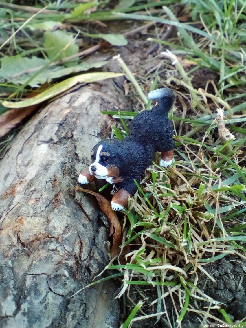 Петербург. Таврический сад. Ул.Радищева. Джан и Джесур (продолжение прогулки) | Бэйбики Петербург. Таврический сад. Ул.Радищева. Джан и Джесур (продолжение прогулки)