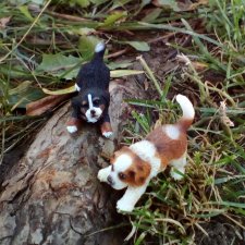 Петербург. Таврический сад. Ул.Радищева. Джан и Джесур (продолжение прогулки)