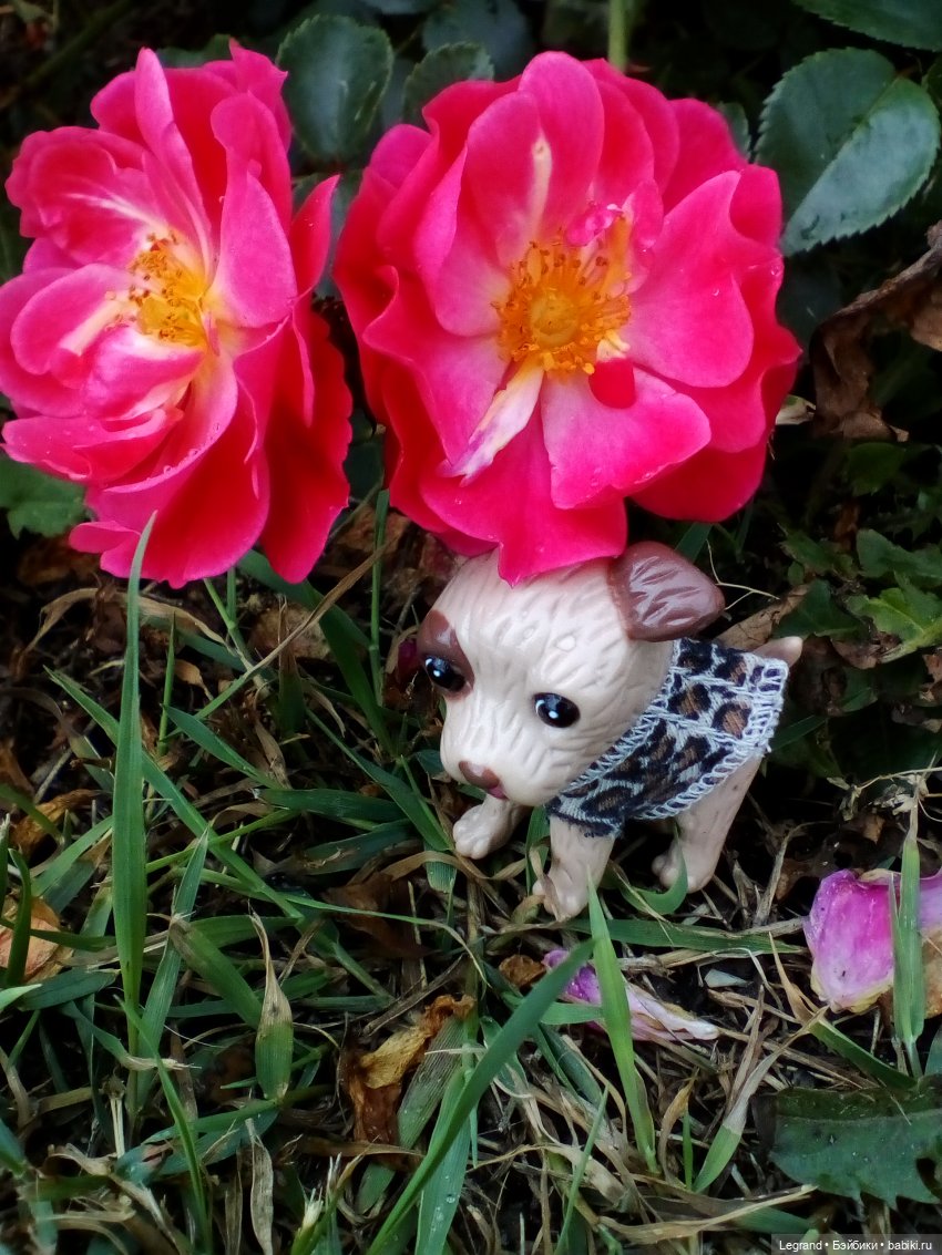 Петербург. Нева. Норд и Лукум. Прогулка перед ливнем