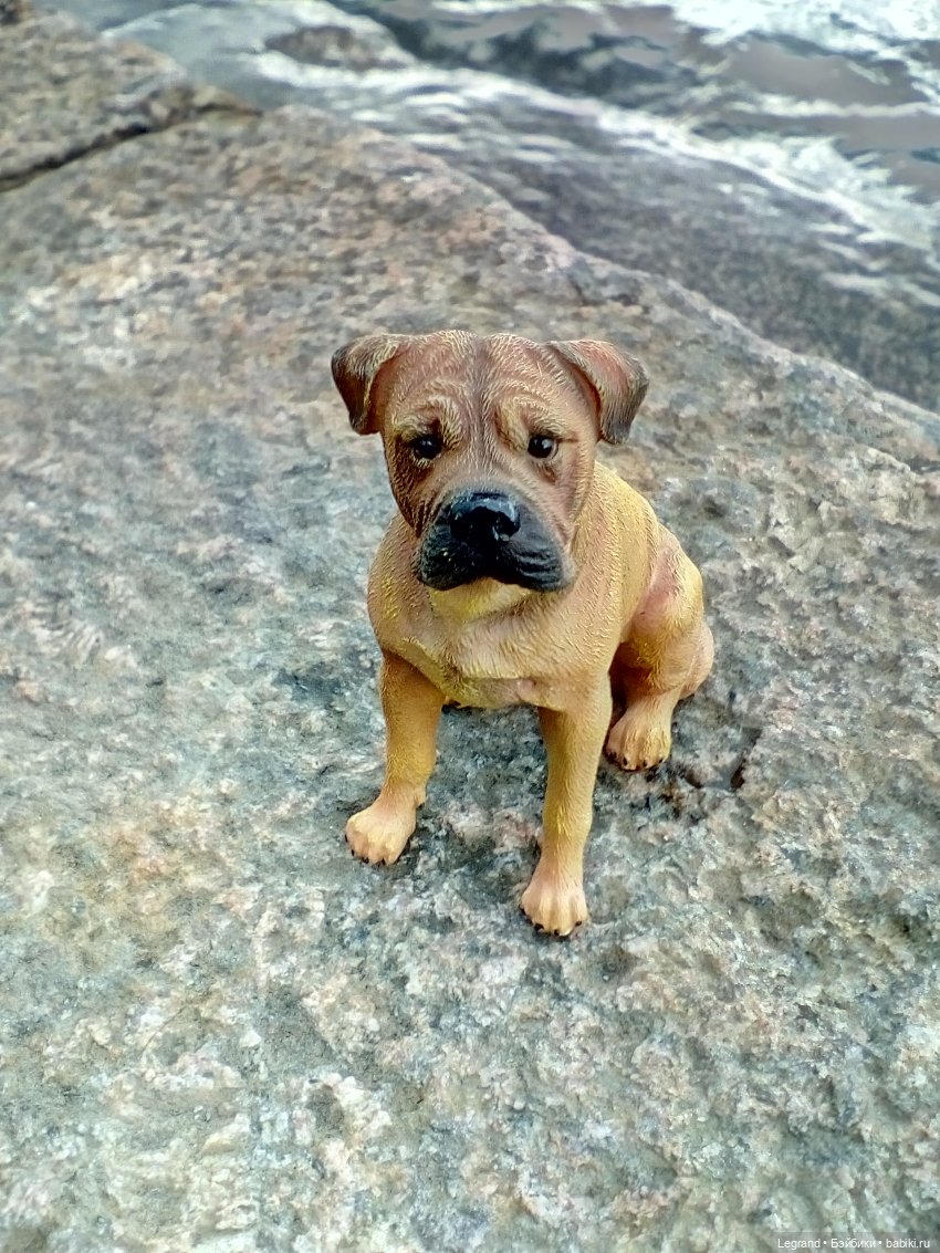 Петербург. Нева. Норд и Лукум. Прогулка перед ливнем