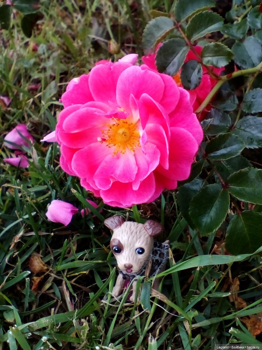 Петербург. Нева. Норд и Лукум. Прогулка перед ливнем