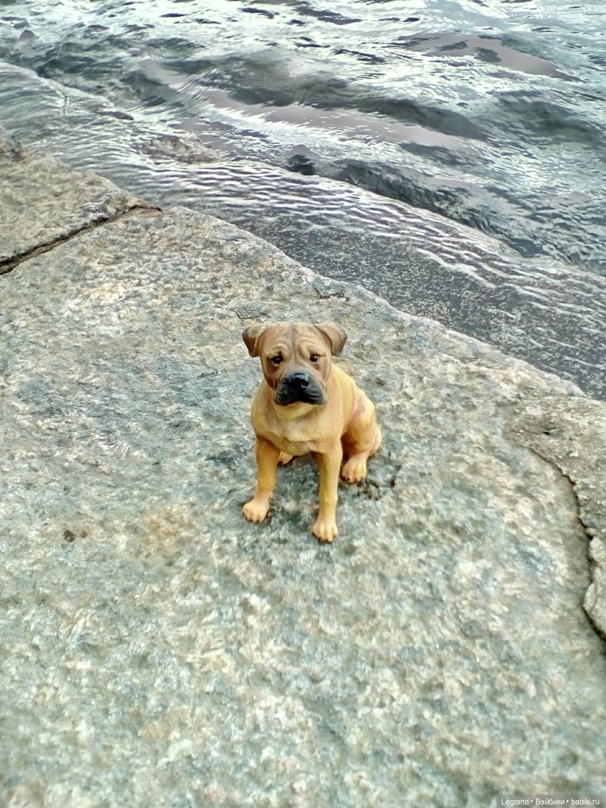 Петербург. Нева. Норд и Лукум. Прогулка перед ливнем (фото 10)