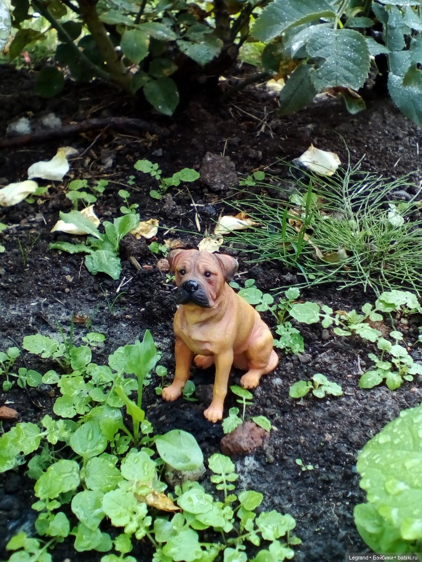 Петербург. Нева. Норд и Лукум. Прогулка перед ливнем