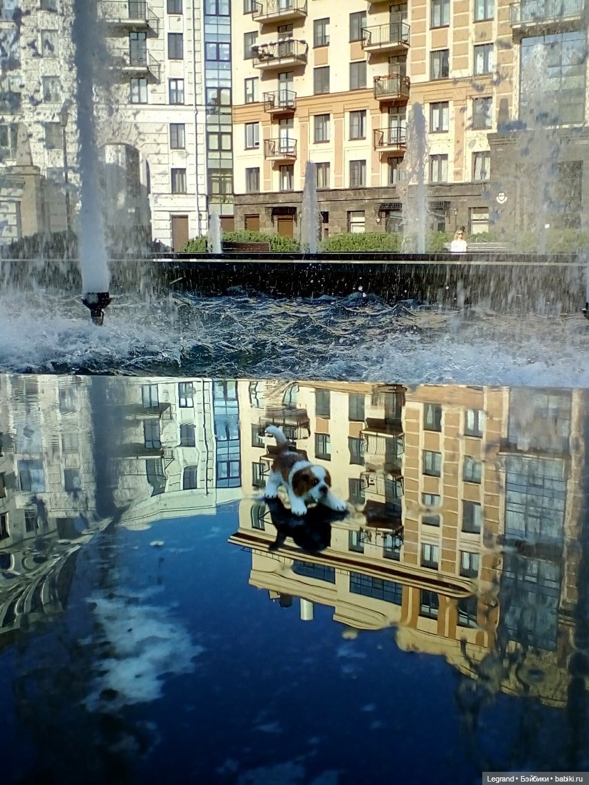 Лурения - Петербург. День фонтанов