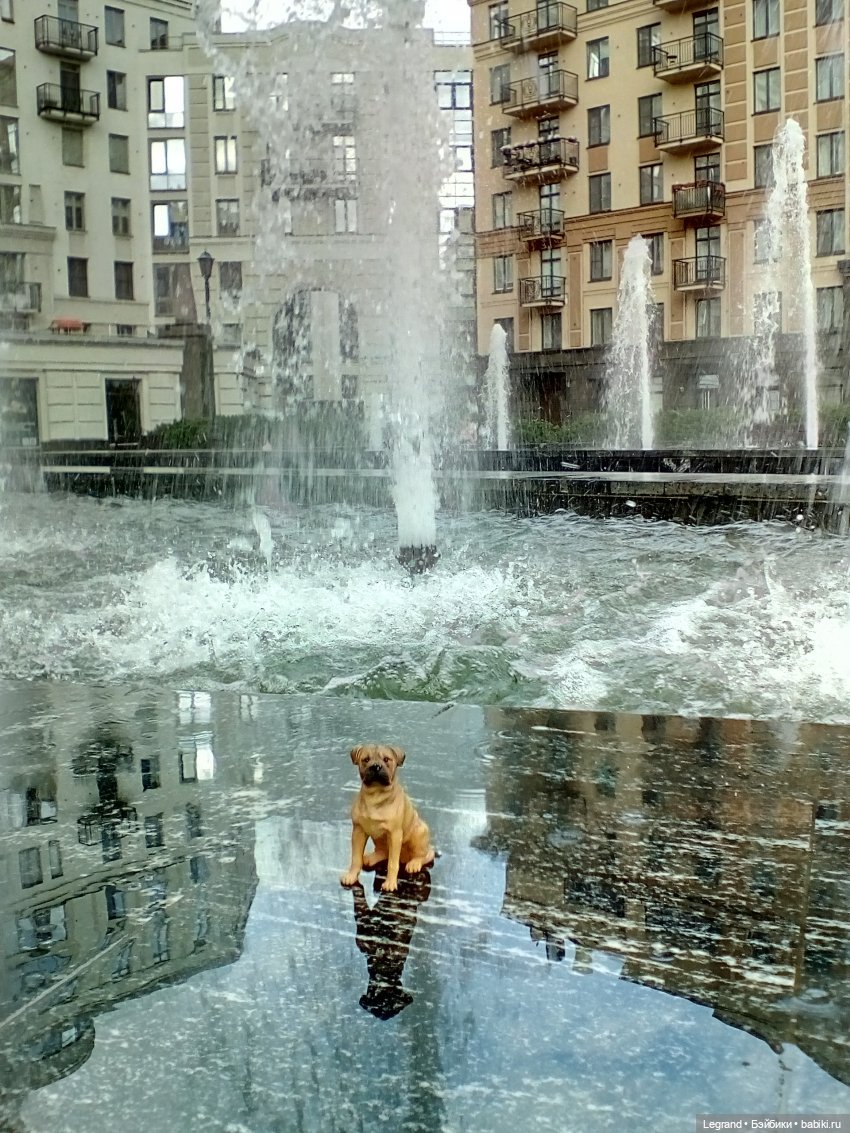 Лурения - Петербург. День фонтанов (фото 6)