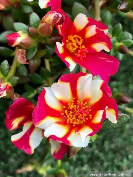 Вот и встретились мы в этом городе снов... Стихи Блонди (фото 9)