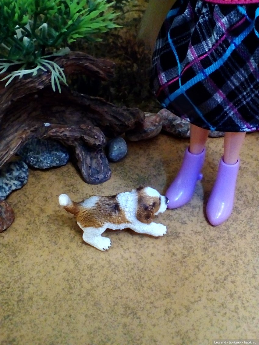 Лурения. Бижу гуляет с Джаном (фото 8)