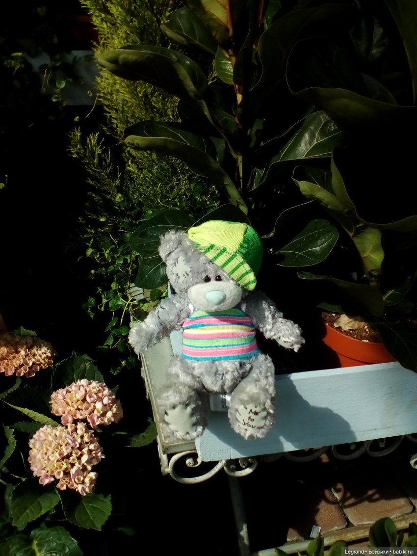 Петербург. Парадный квартал, Таврический сад. Гри и черепашки