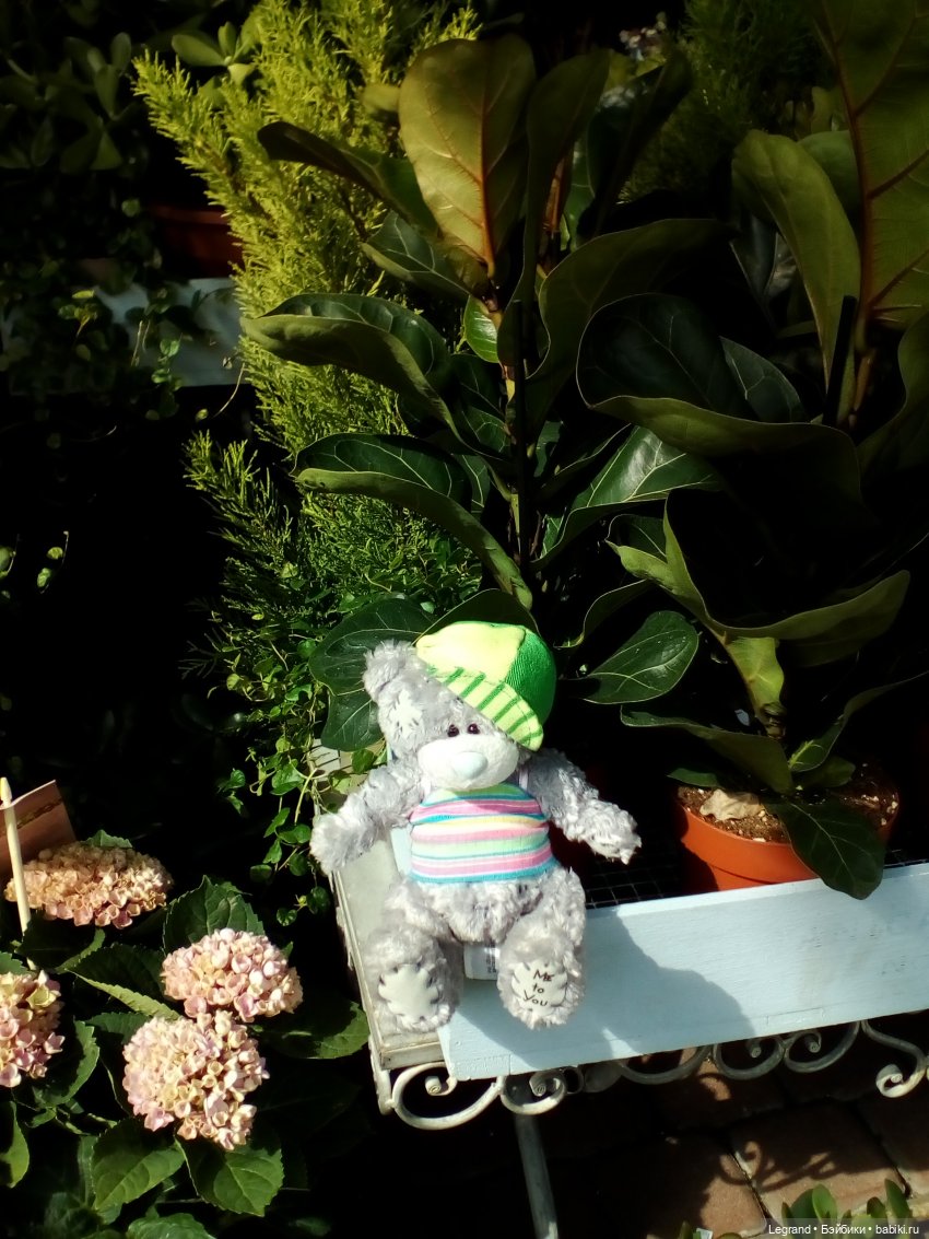 Петербург. Парадный квартал, Таврический сад. Гри и черепашки