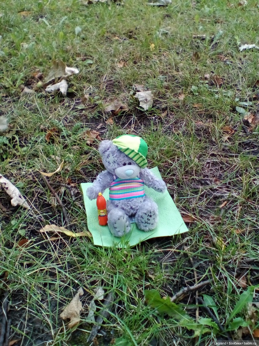 Петербург. Парадный квартал, Таврический сад. Гри и черепашки