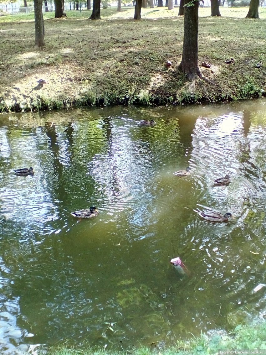 Петербург. Парадный квартал, Таврический сад. Гри и черепашки