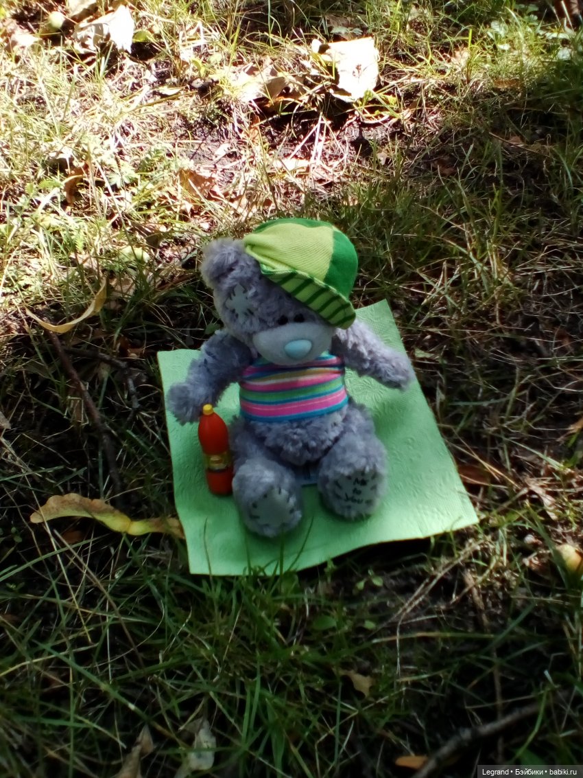 Петербург. Парадный квартал, Таврический сад. Гри и черепашки