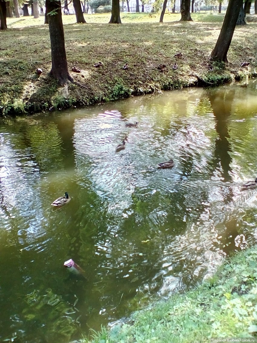 Петербург. Парадный квартал, Таврический сад. Гри и черепашки