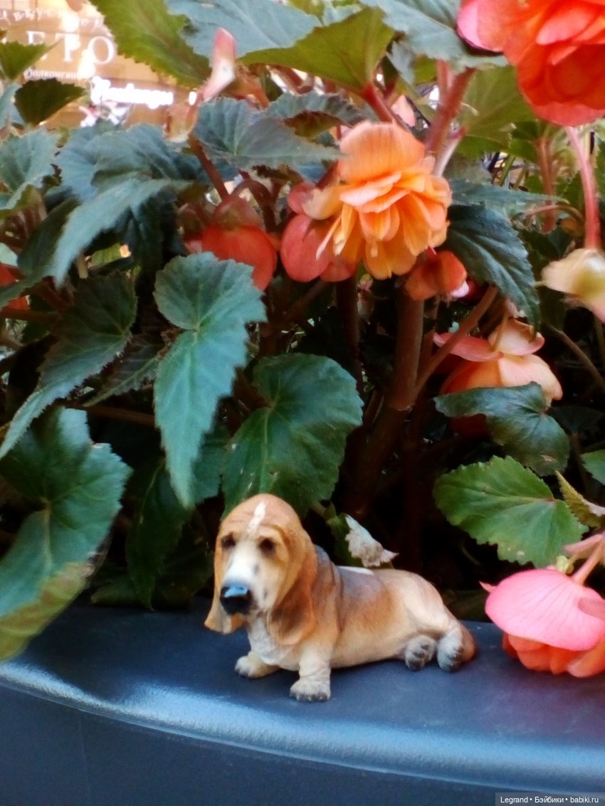 Петербург. Александринский театр, Невский проспект, Фонтанка. Гри и Отто