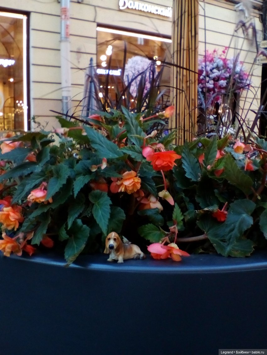 Петербург. Александринский театр, Невский проспект, Фонтанка. Гри и Отто