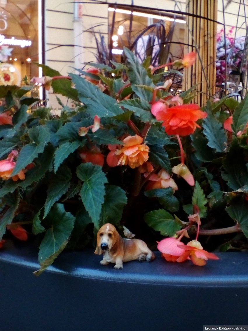 Петербург. Александринский театр, Невский проспект, Фонтанка. Гри и Отто