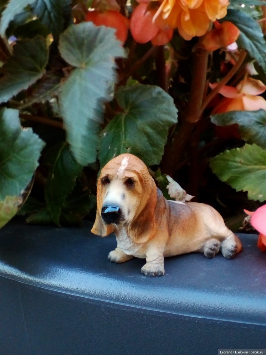 Петербург. Александринский театр, Невский проспект, Фонтанка. Гри и Отто