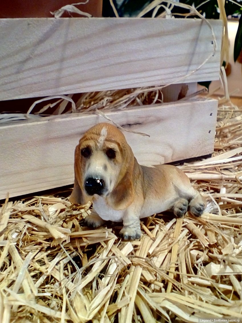 Петербург. Невский проспект. Отто и интересные магазинчики (фото 4)