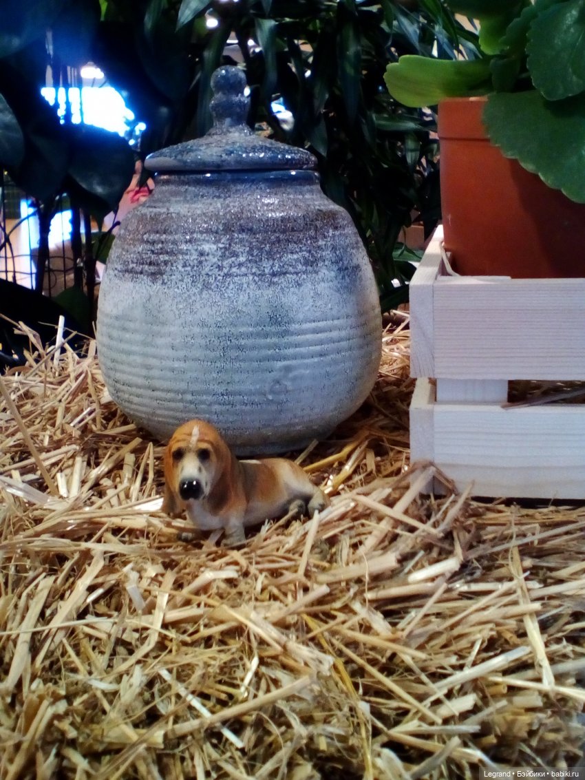 Петербург. Невский проспект. Отто и интересные магазинчики (фото 6)