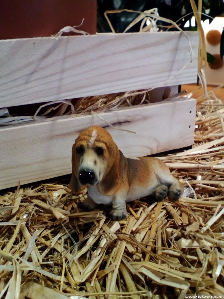 Петербург. Невский проспект. Отто и интересные магазинчики (фото 5)