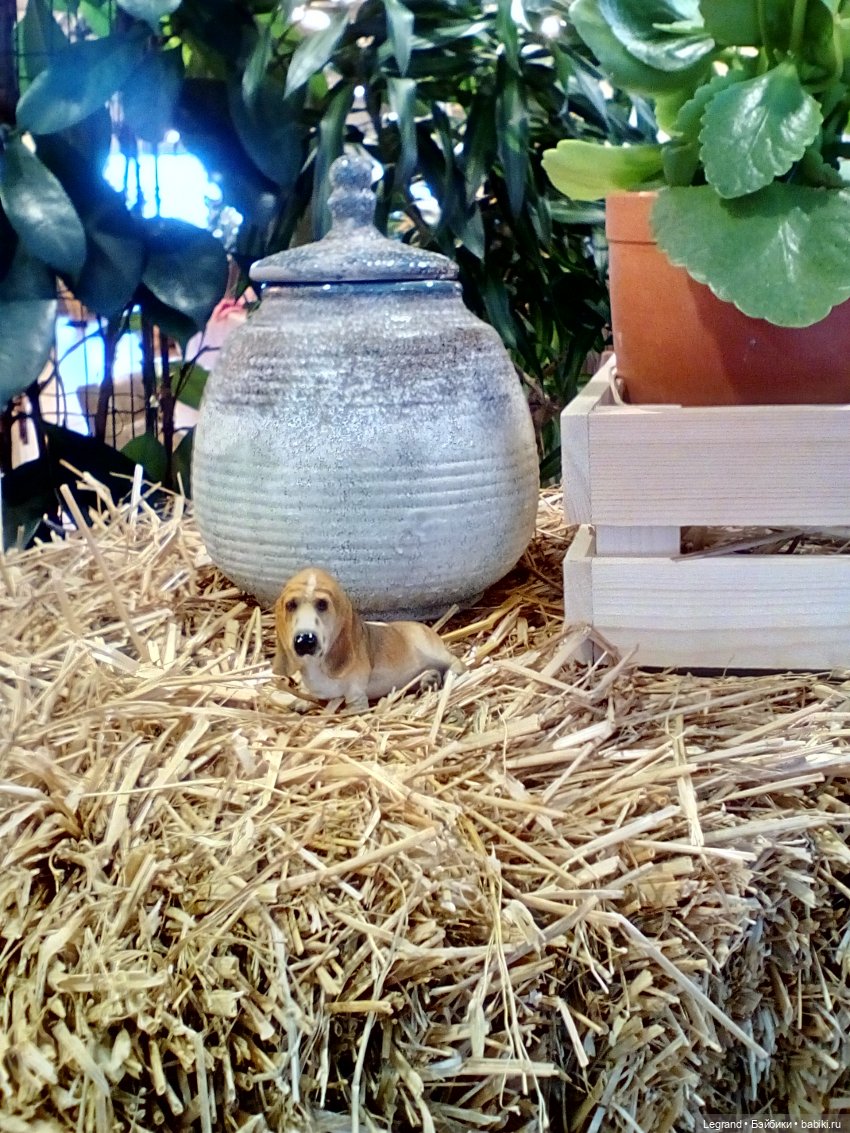 Петербург. Невский проспект. Отто и интересные магазинчики (фото 7)