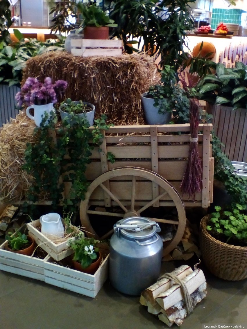 Петербург. Невский проспект. Отто и интересные магазинчики (фото 3)