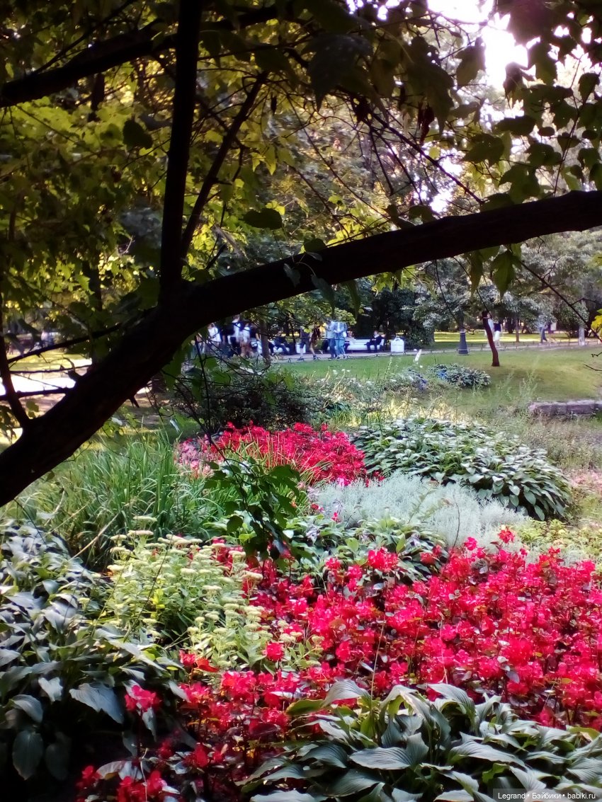 Петербург. Соборная Мечеть, Александровский парк