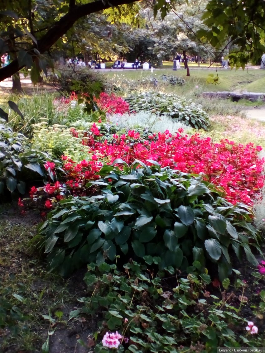 Петербург. Соборная Мечеть, Александровский парк