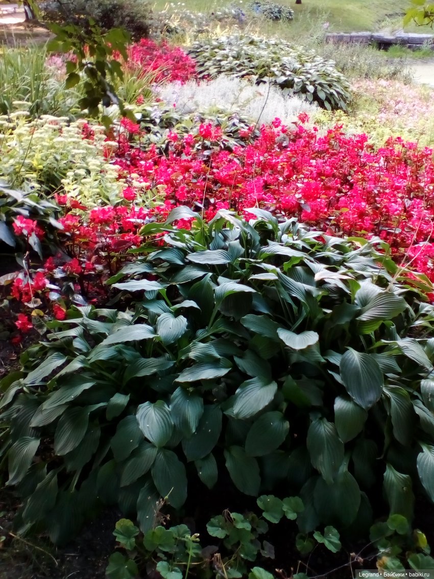 Петербург. Соборная Мечеть, Александровский парк