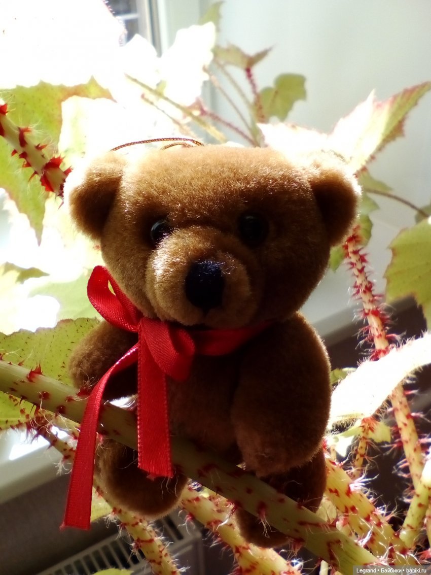 Мишель и Стефан. Прогулка в цветах и вечернее чаепитие | Бэйбики Мишель и Стефан. Прогулка в цветах и вечернее чаепитие (фото 3)