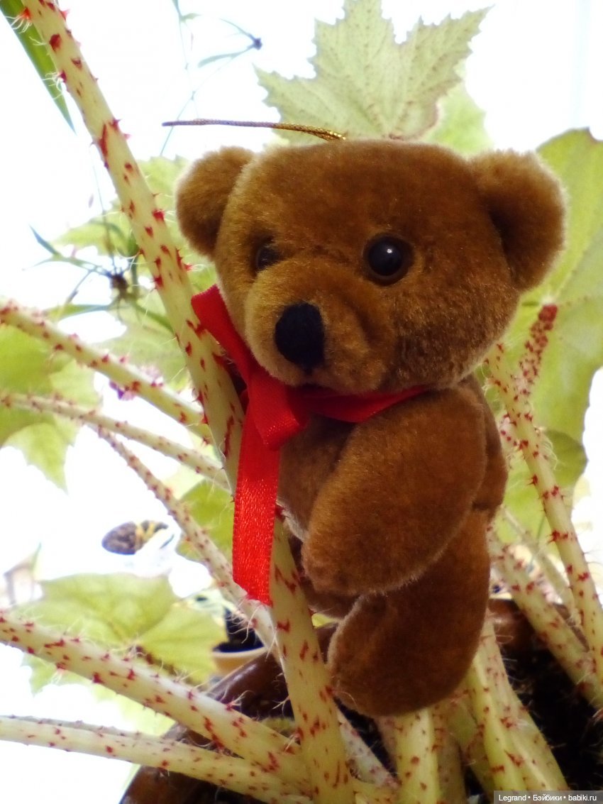 Мишель и Стефан. Прогулка в цветах и вечернее чаепитие | Бэйбики Мишель и Стефан. Прогулка в цветах и вечернее чаепитие