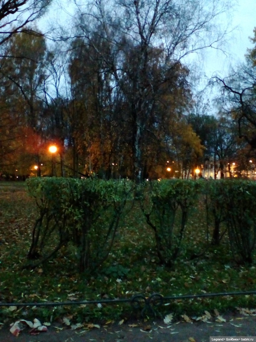 Лурения - Петербург. День "Посмотрите на листья"