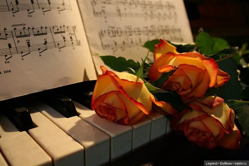 Я видел сон... Стихи Оливье (фото 9)