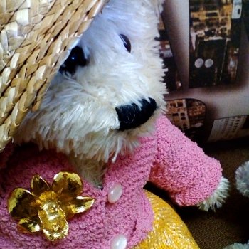 Пембе и Гри: из жизни медведей в начале ноября