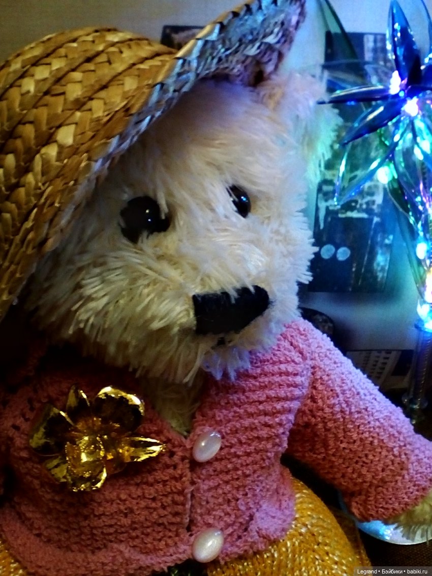 Пембе и Гри: из жизни медведей в начале ноября