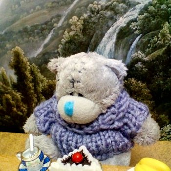 Из жизни моих мишек: мишки путешествуют