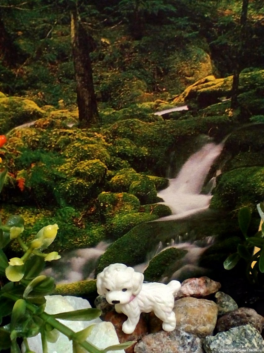 Лурения: селезень и другие питомцы на прогулке (фото 8)