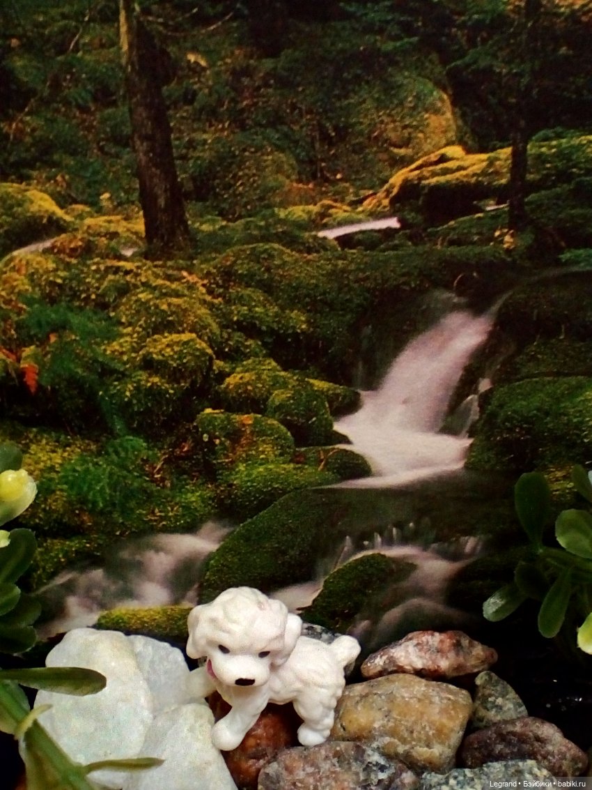 Лурения: селезень и другие питомцы на прогулке (фото 7)