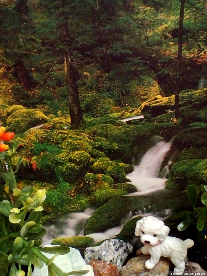 Лурения: селезень и другие питомцы на прогулке (фото 9)