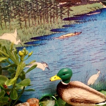 Лурения: селезень и другие питомцы на прогулке