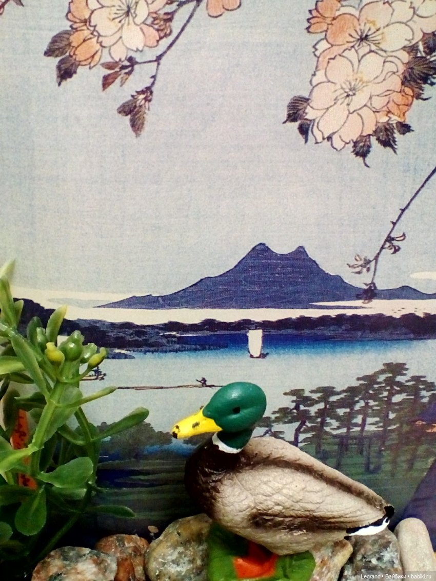 Лурения: селезень и другие питомцы на прогулке