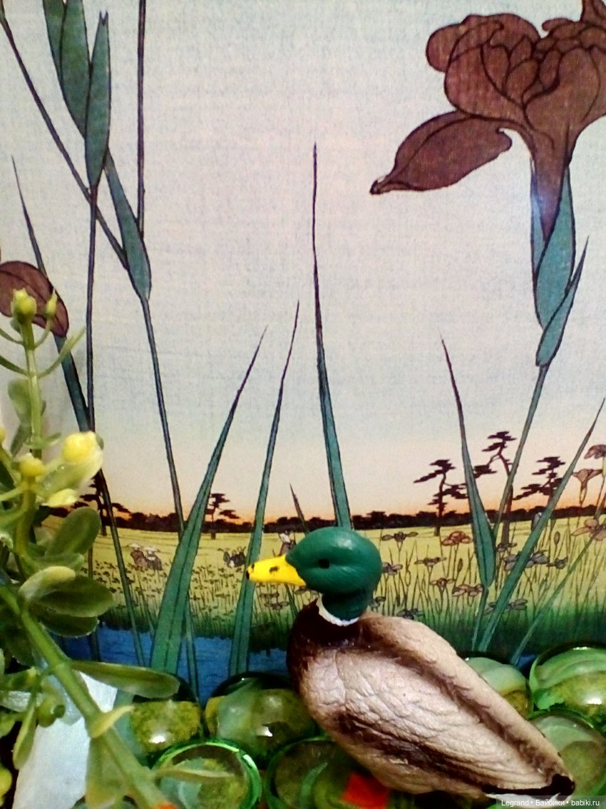 Лурения: селезень и другие питомцы на прогулке