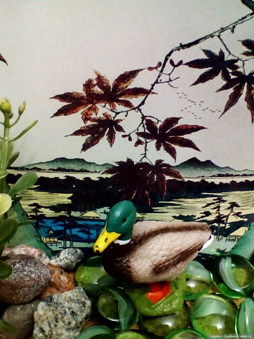 Лурения: селезень и другие питомцы на прогулке