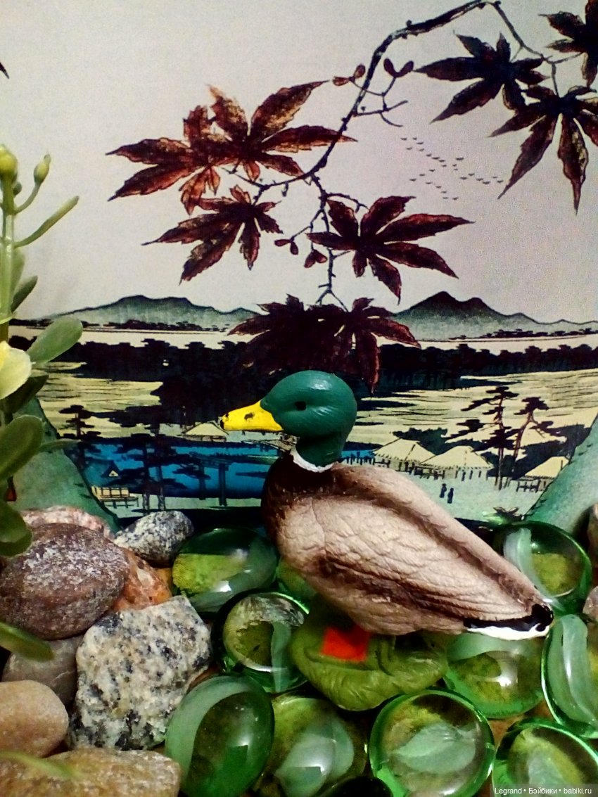 Лурения: селезень и другие питомцы на прогулке