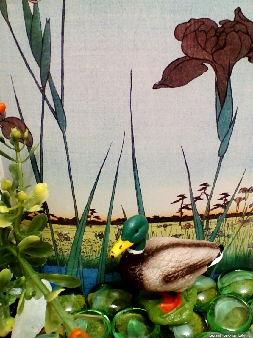 Лурения: селезень и другие питомцы на прогулке